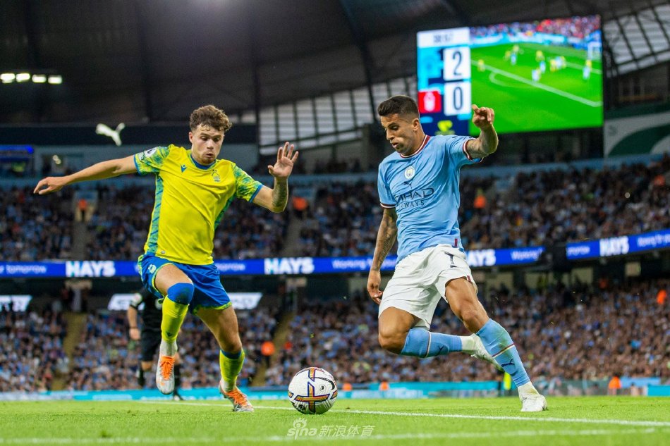 不仅是一位 不仅是一位